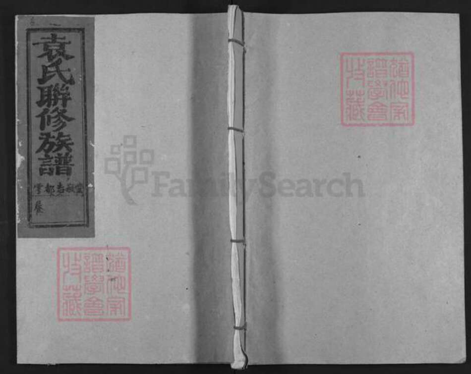 江西省吉安市泰和市袁氏汝南堂族谱-瑞雩宁会兴袁氏联族谱.pdf电子版缩略图