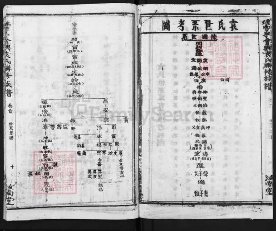 江西省吉安市泰和市袁氏汝南堂族谱-瑞雩宁会兴袁氏联族谱.pdf电子版预览图5