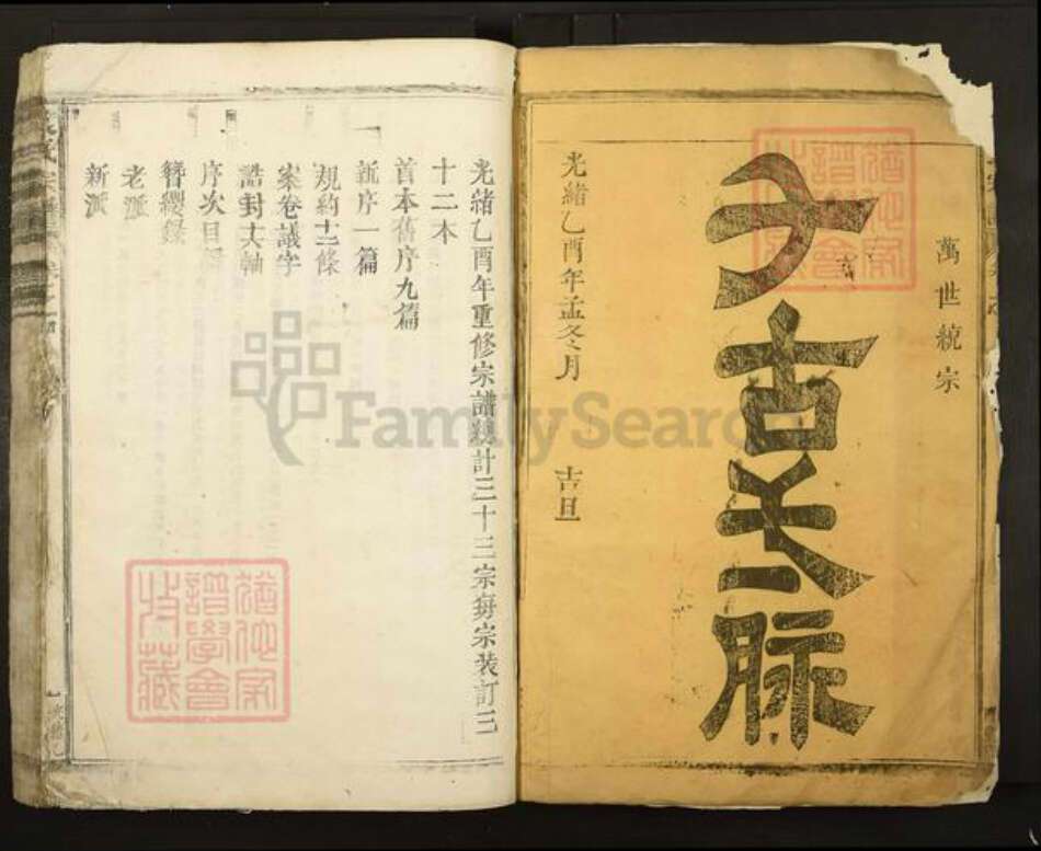 江西省九江市都昌县袁氏族谱-袁氏宗谱.pdf电子版预览图1