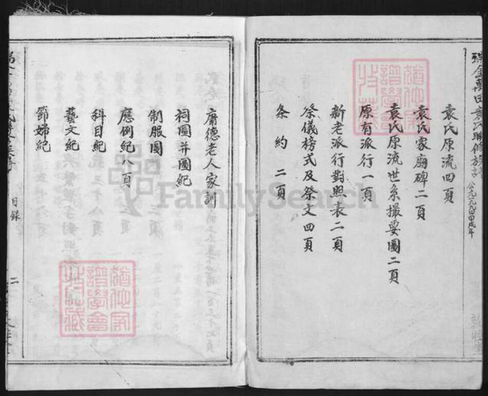 江西省赣州市瑞金市万田乡袁氏敦睦堂族谱-瑞金万田袁氏联修族谱.pdf电子版预览图2