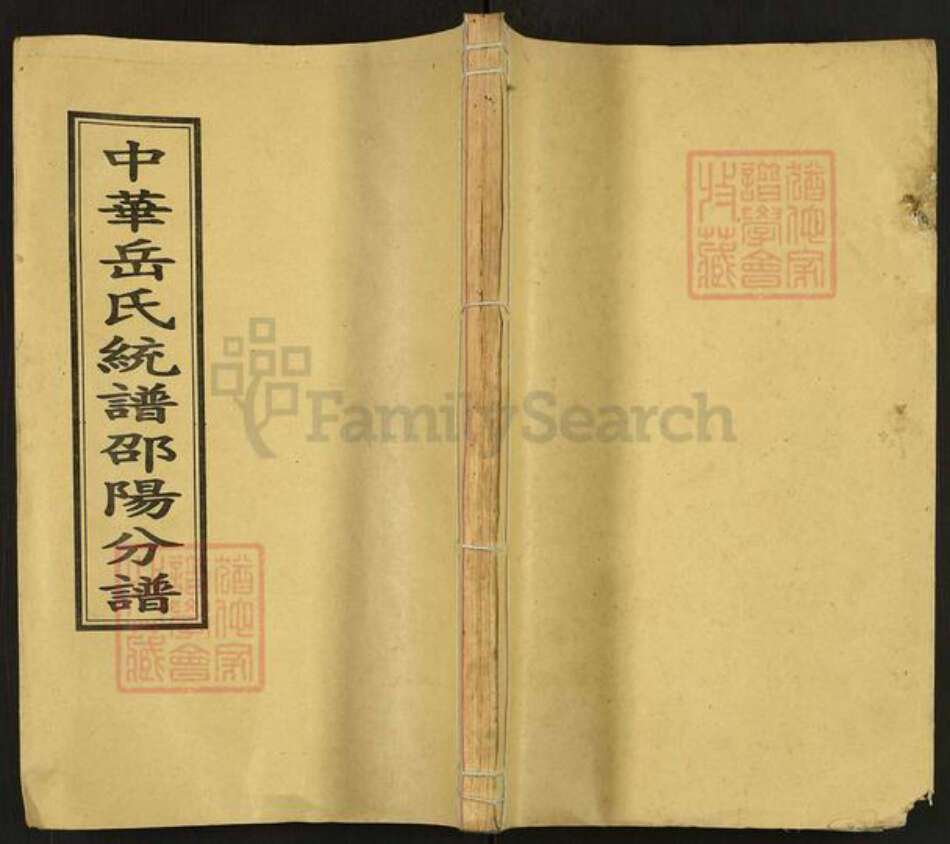 湖南省邵阳市岳氏精忠堂族谱-中华岳氏统谱.邵阳分谱.pdf电子版缩略图