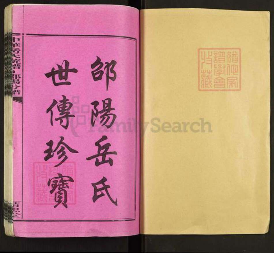 湖南省邵阳市岳氏精忠堂族谱-中华岳氏统谱.邵阳分谱.pdf电子版预览图1