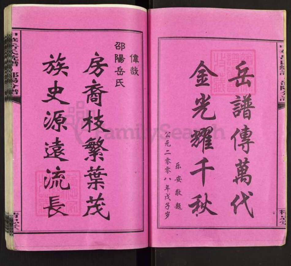 湖南省邵阳市岳氏精忠堂族谱-中华岳氏统谱.邵阳分谱.pdf电子版预览图2