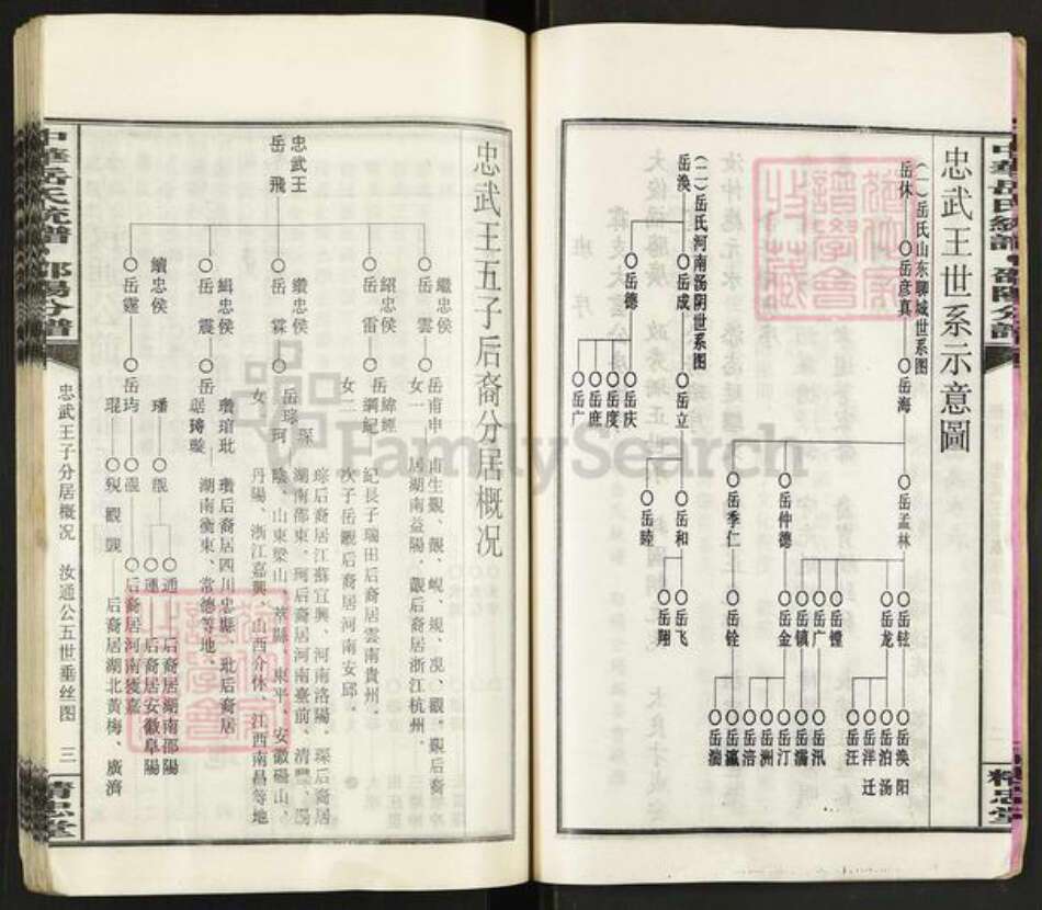 湖南省邵阳市岳氏精忠堂族谱-中华岳氏统谱.邵阳分谱.pdf电子版预览图5