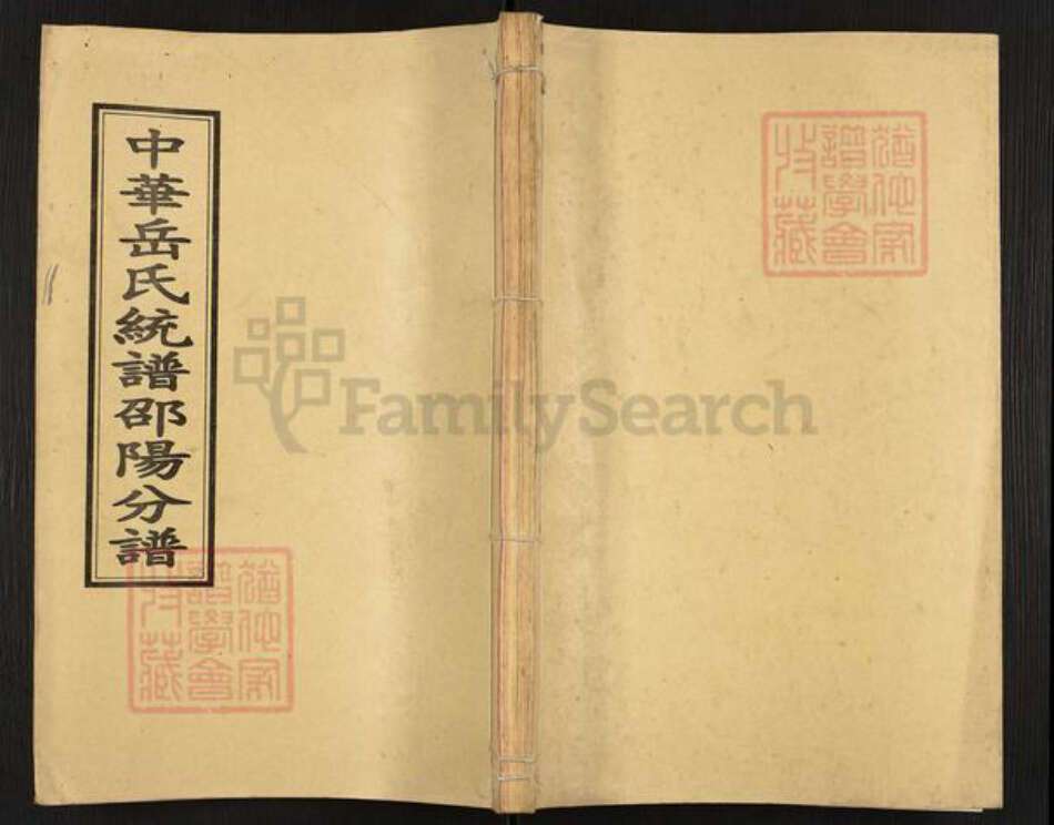 湖南省邵阳市岳氏精忠堂族谱-中华岳氏统谱邵阳分谱.pdf电子版缩略图