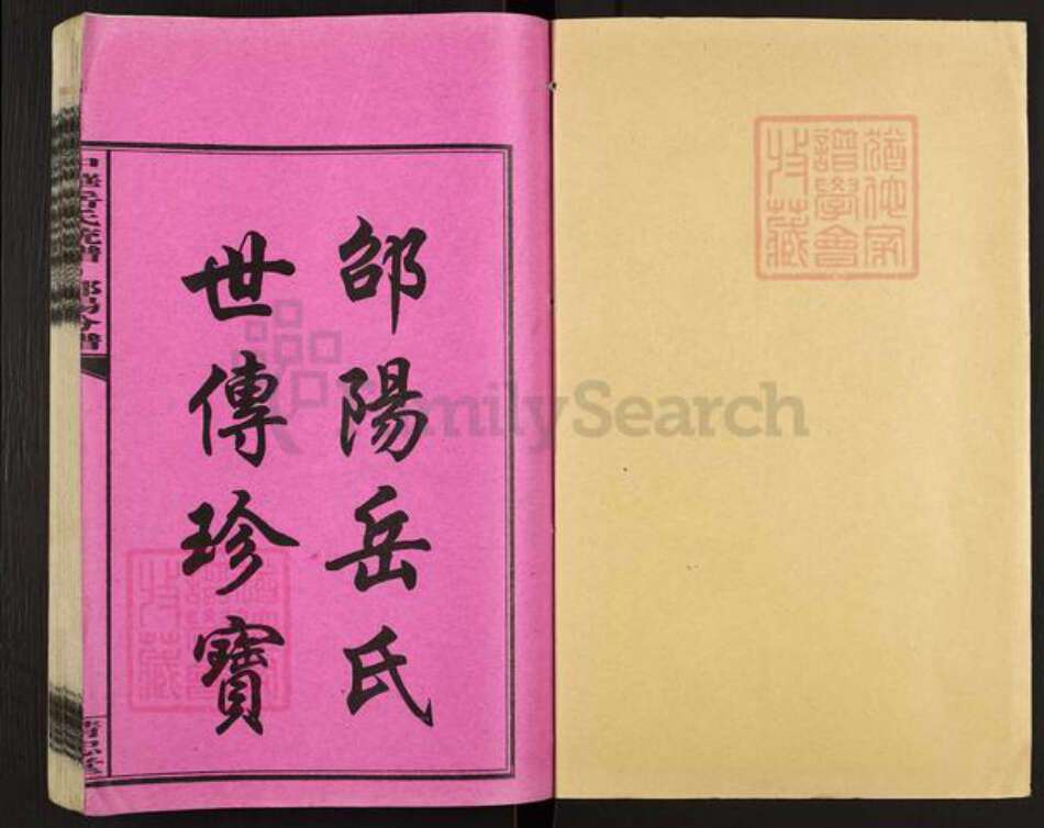 湖南省邵阳市岳氏精忠堂族谱-中华岳氏统谱邵阳分谱.pdf电子版预览图1