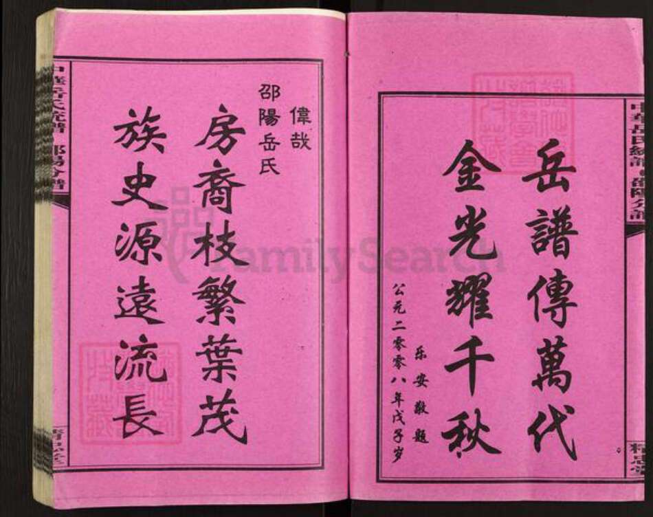 湖南省邵阳市岳氏精忠堂族谱-中华岳氏统谱邵阳分谱.pdf电子版预览图2