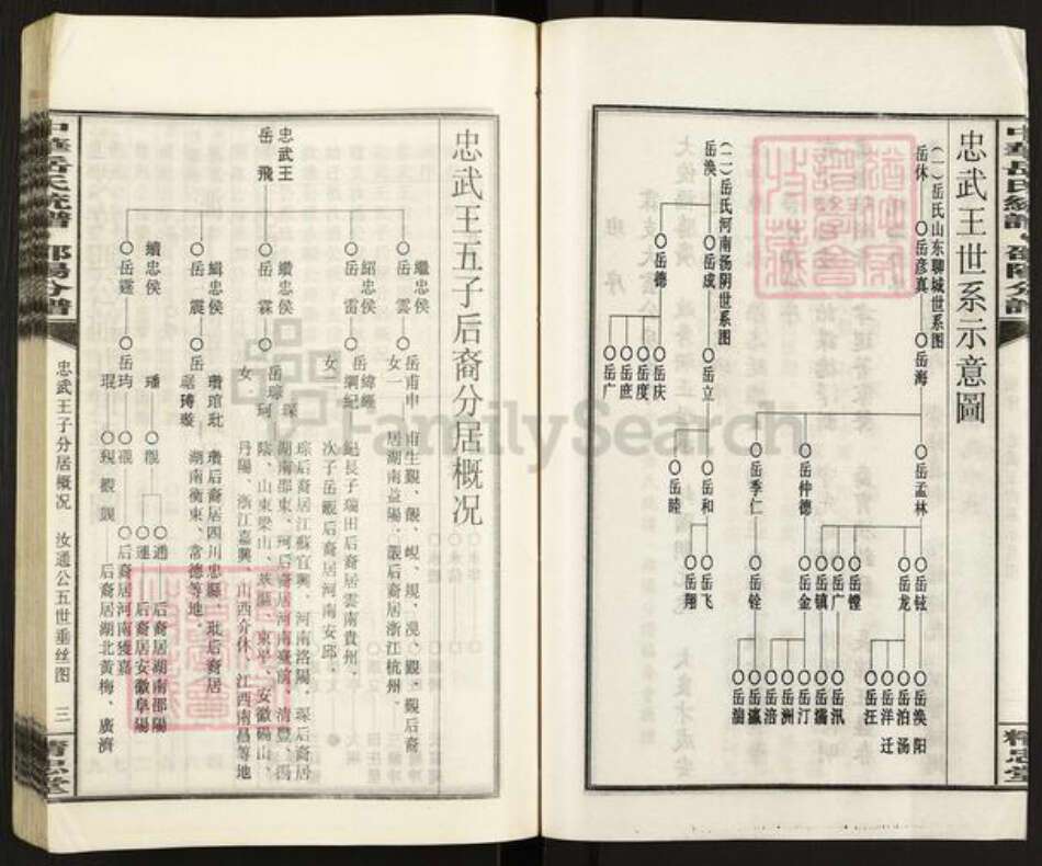 湖南省邵阳市岳氏精忠堂族谱-中华岳氏统谱邵阳分谱.pdf电子版预览图5