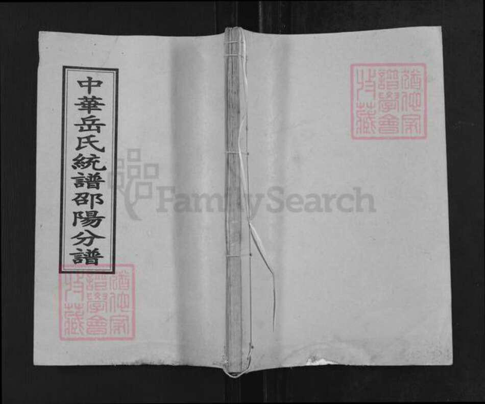 湖南省邵阳市岳氏精忠堂族谱-中华岳氏统谱邵阳分谱.pdf电子版缩略图