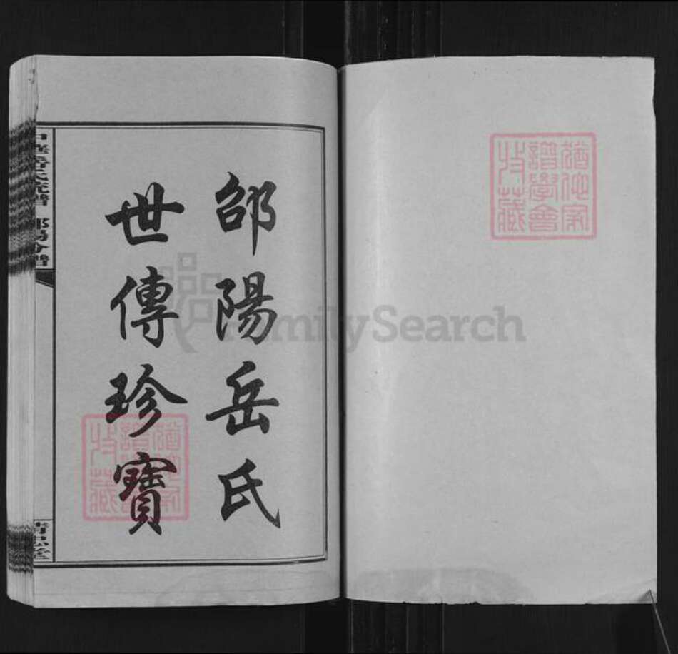 湖南省邵阳市岳氏精忠堂族谱-中华岳氏统谱邵阳分谱.pdf电子版预览图1