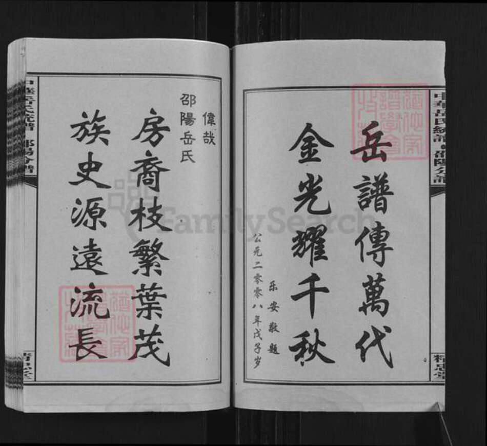 湖南省邵阳市岳氏精忠堂族谱-中华岳氏统谱邵阳分谱.pdf电子版预览图2