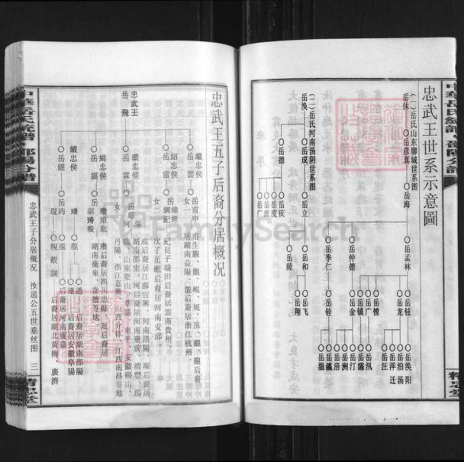 湖南省邵阳市岳氏精忠堂族谱-中华岳氏统谱邵阳分谱.pdf电子版预览图5