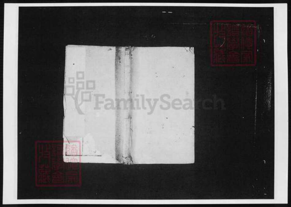 江苏省无锡市宜兴市周铁镇岳氏族谱-唐门岳氏宗谱.pdf电子版缩略图