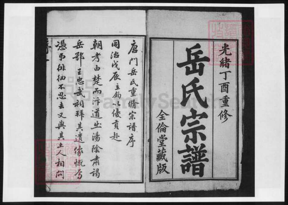 江苏省无锡市宜兴市周铁镇岳氏族谱-唐门岳氏宗谱.pdf电子版预览图2