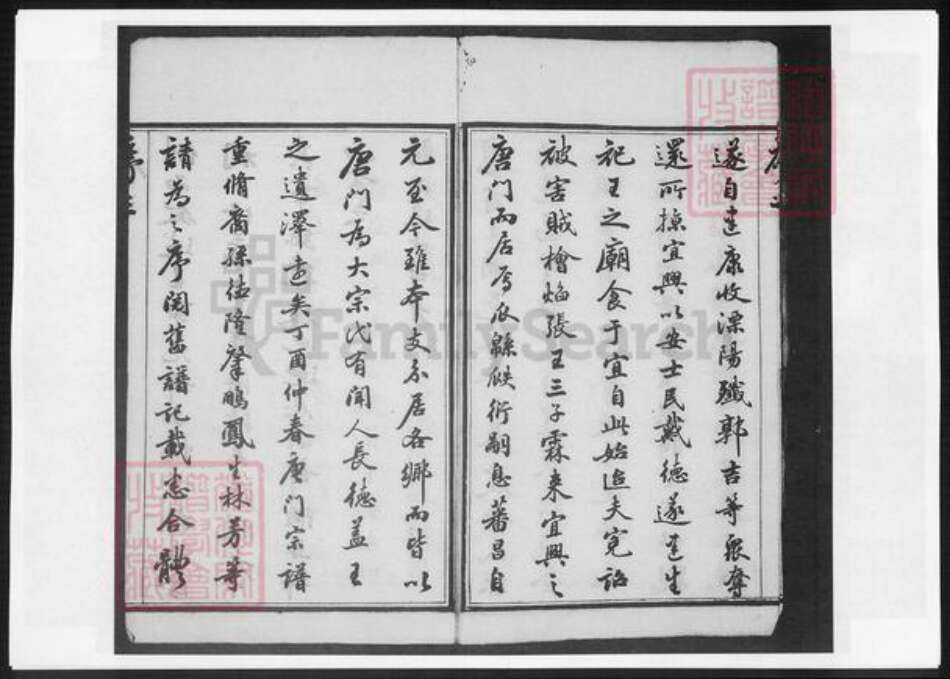 江苏省无锡市宜兴市周铁镇岳氏族谱-唐门岳氏宗谱.pdf电子版预览图5