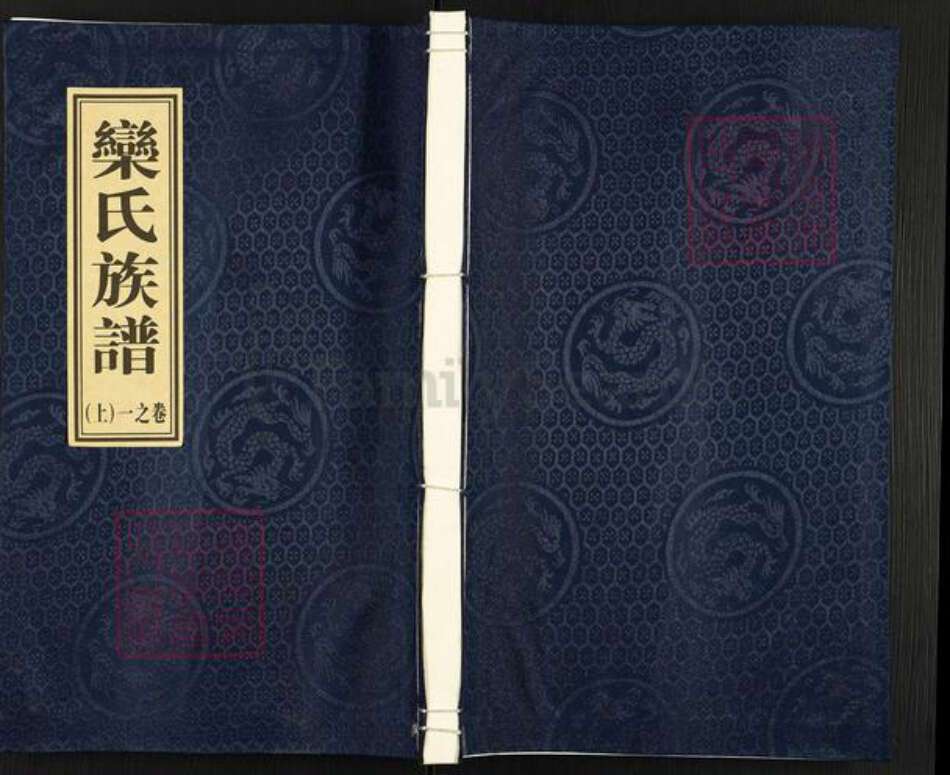 江苏省泰州市泰兴市泰兴乐氏静远堂族谱-乐氏族谱.pdf电子版缩略图
