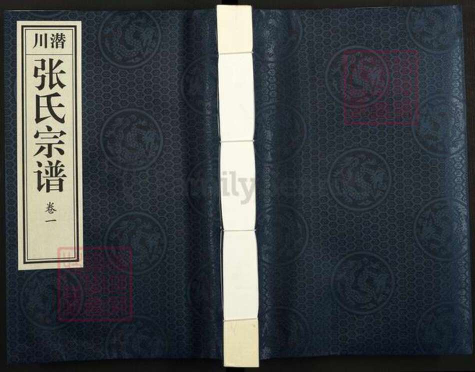 安徽省合肥市庐江县张氏万选堂族谱-潜川张氏宗谱.pdf电子版缩略图