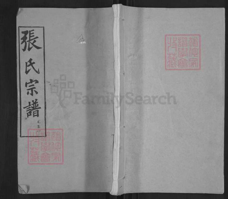 湖北省鄂州市华容区华容镇张氏忠孝堂族谱-张氏宗谱.pdf电子版缩略图