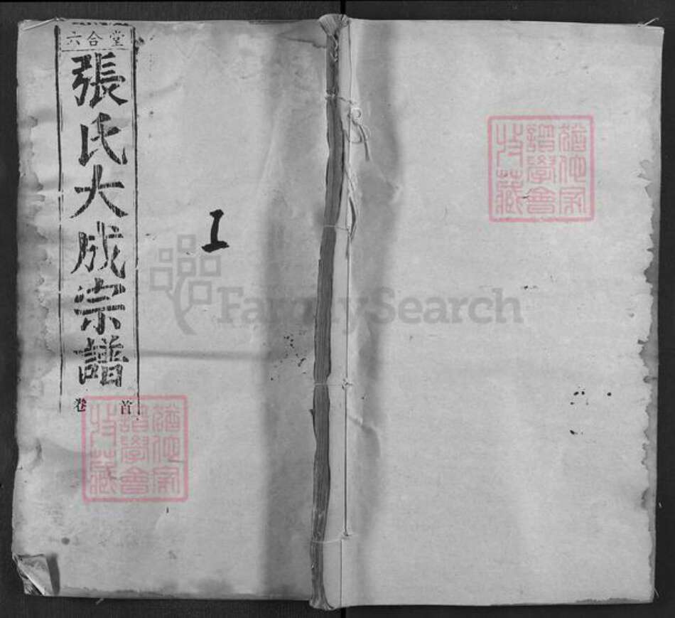 湖北省黄冈市浠水县竹瓦镇张氏六合堂族谱-张氏大成宗谱.pdf电子版缩略图