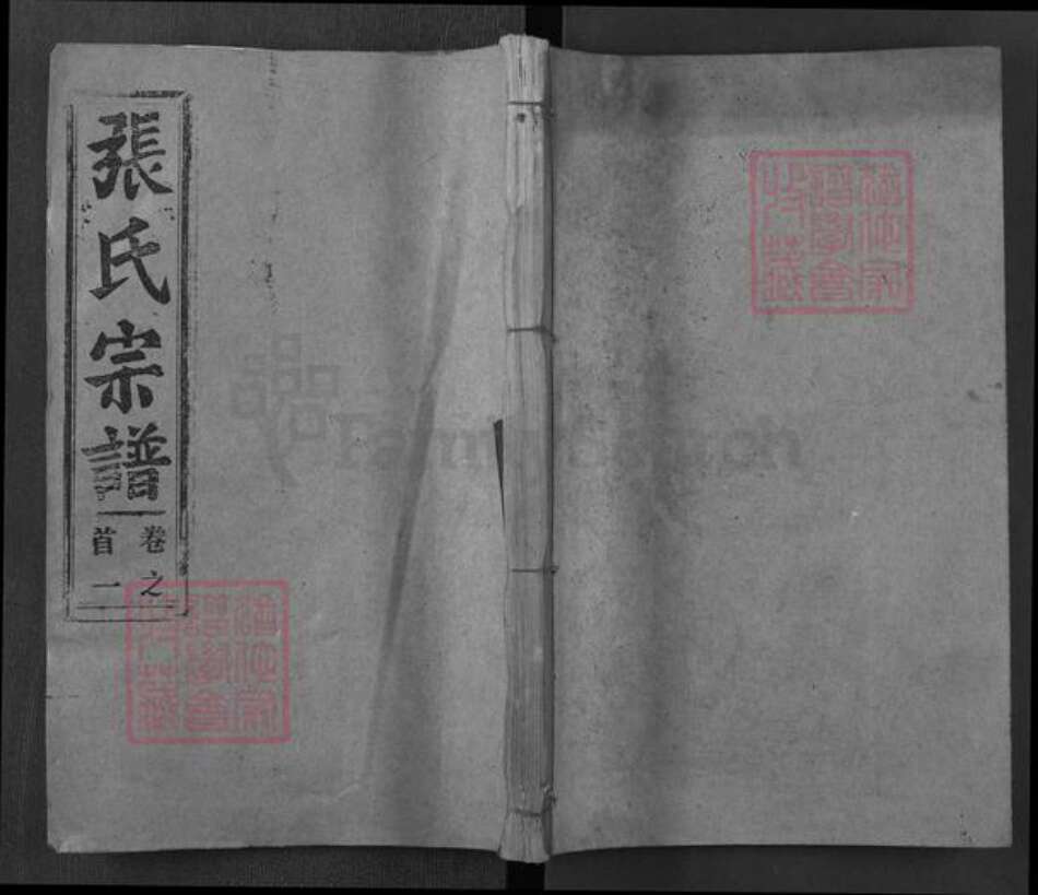 湖北省黄冈市罗田县胜利镇张氏孝友堂族谱-张氏五修宗谱.pdf电子版缩略图