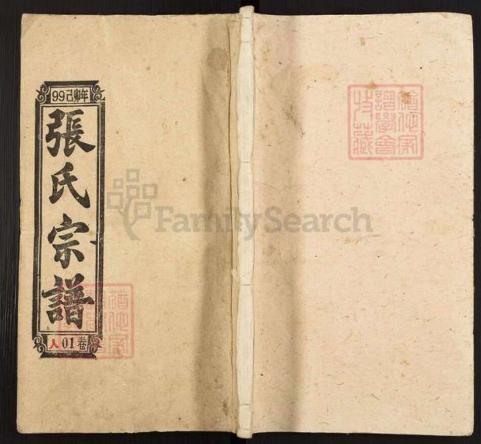 安徽省安庆市怀宁县高河镇张氏族谱-张氏宗谱.pdf电子版缩略图