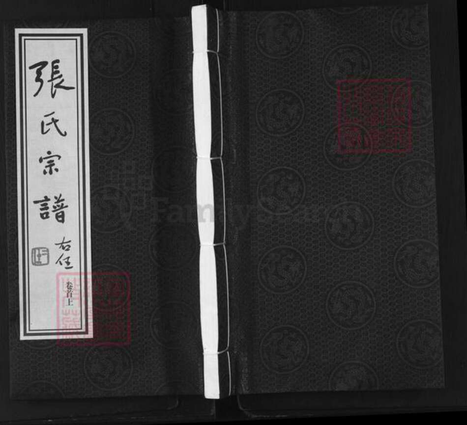 江苏省常州市张氏世恩堂族谱-张氏宗谱.pdf电子版缩略图