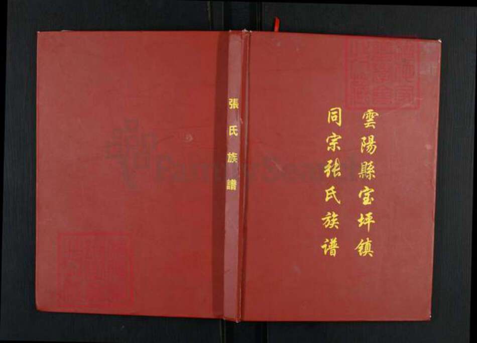重庆市云阳县张氏族谱-张氏族谱.pdf电子版缩略图
