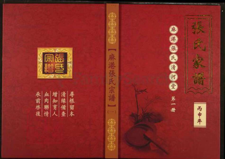 湖北省仙桃市张氏清河堂族谱-张氏家谱.pdf电子版缩略图