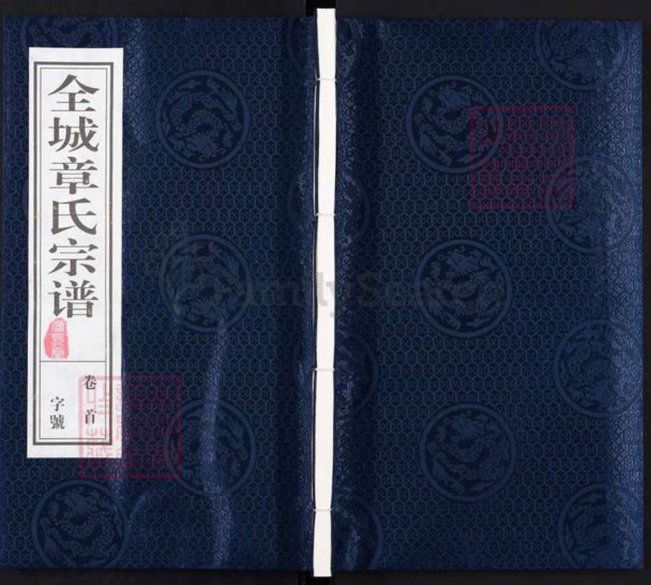 安徽省安庆市桐城市章氏族谱-全城章氏宗谱[28卷首1卷末1卷].pdf电子版缩略图
