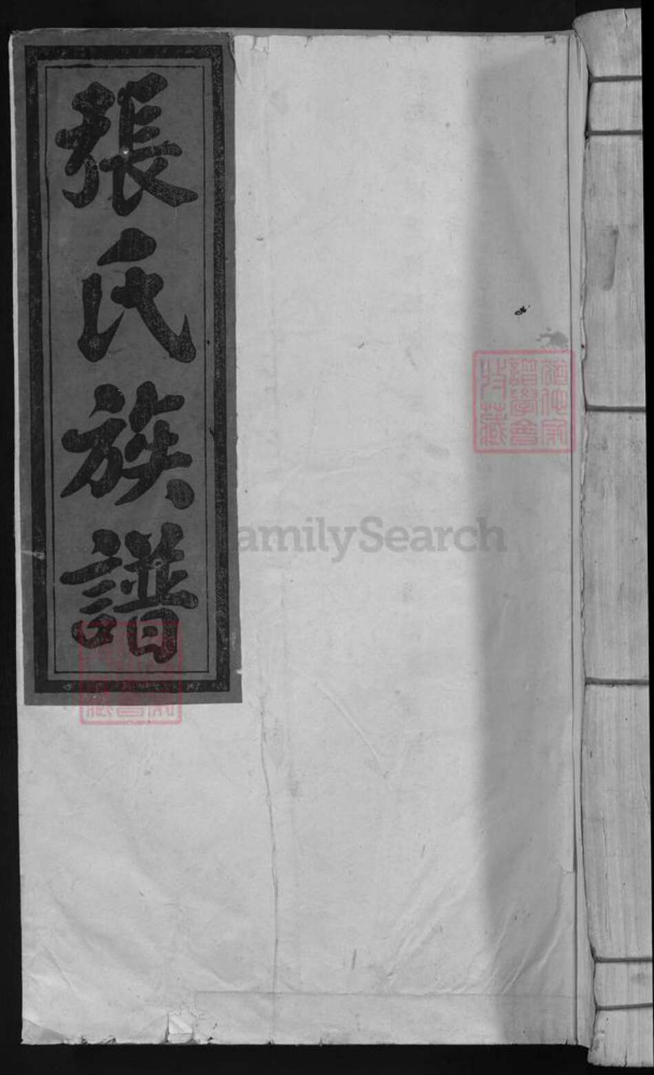 江西省张氏族谱-张氏九修族谱.pdf电子版缩略图