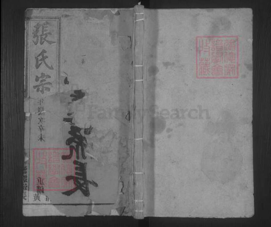 安徽省安庆市桐城市张氏族谱-张氏宗谱 [33卷,末2卷].pdf电子版缩略图