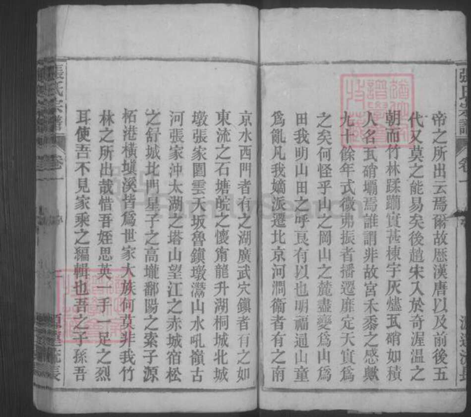 安徽省安庆市桐城市张氏族谱-张氏宗谱 [33卷,末2卷].pdf电子版预览图2