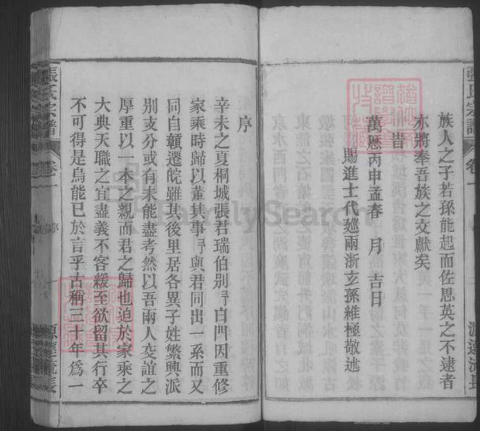 安徽省安庆市桐城市张氏族谱-张氏宗谱 [33卷,末2卷].pdf电子版预览图3