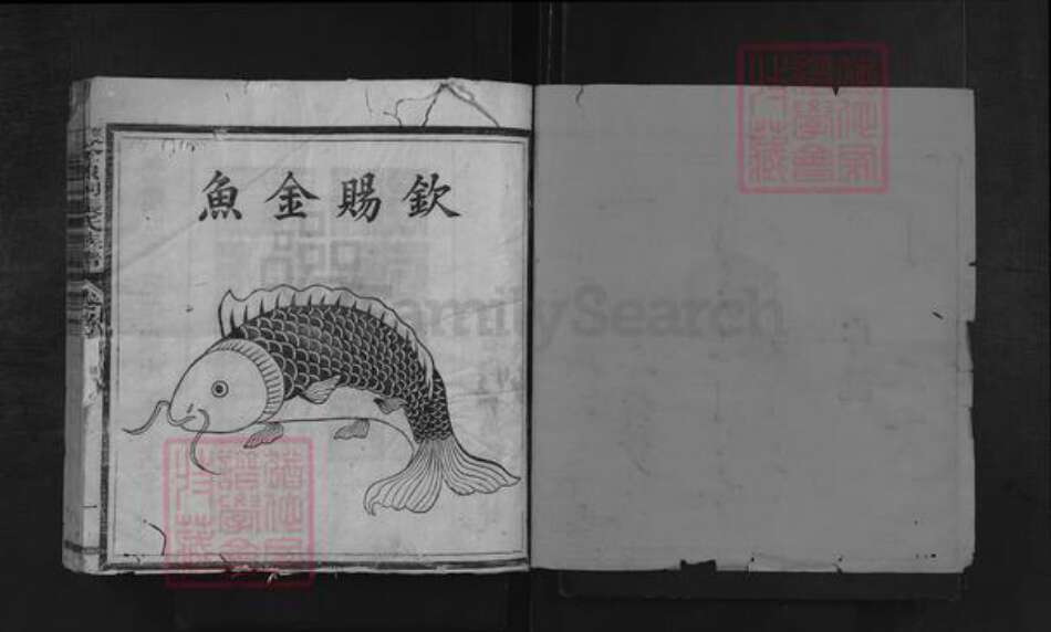 福建省三明市沙县夏茂镇张氏族谱-夏茂金鱼祠张氏族谱.pdf电子版预览图1
