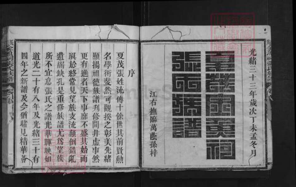 福建省三明市沙县夏茂镇张氏族谱-夏茂金鱼祠张氏族谱.pdf电子版预览图2