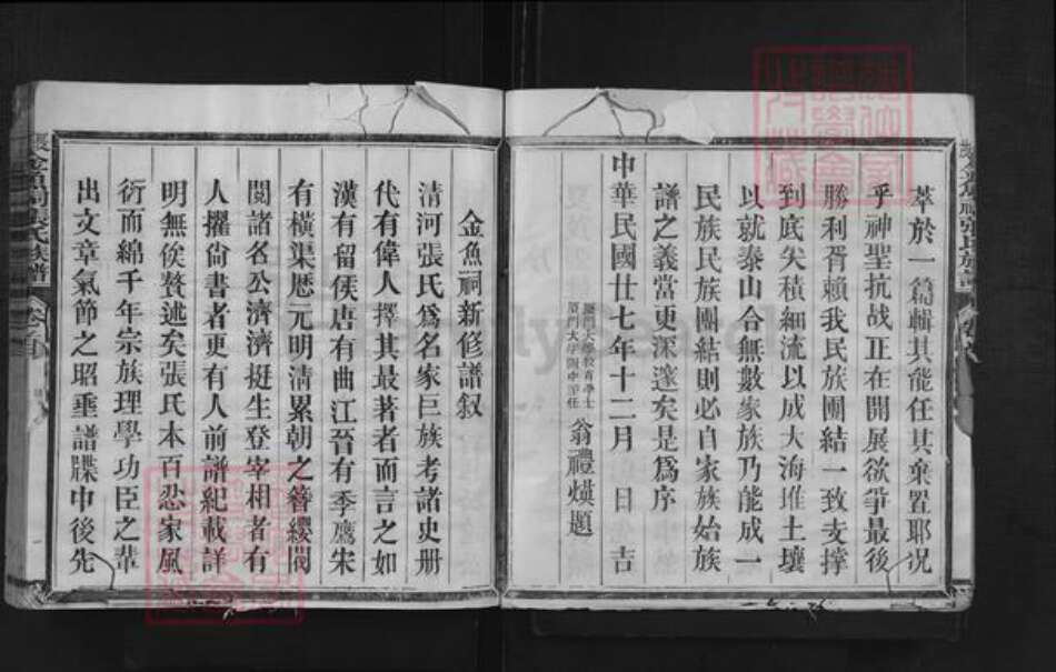 福建省三明市沙县夏茂镇张氏族谱-夏茂金鱼祠张氏族谱.pdf电子版预览图3
