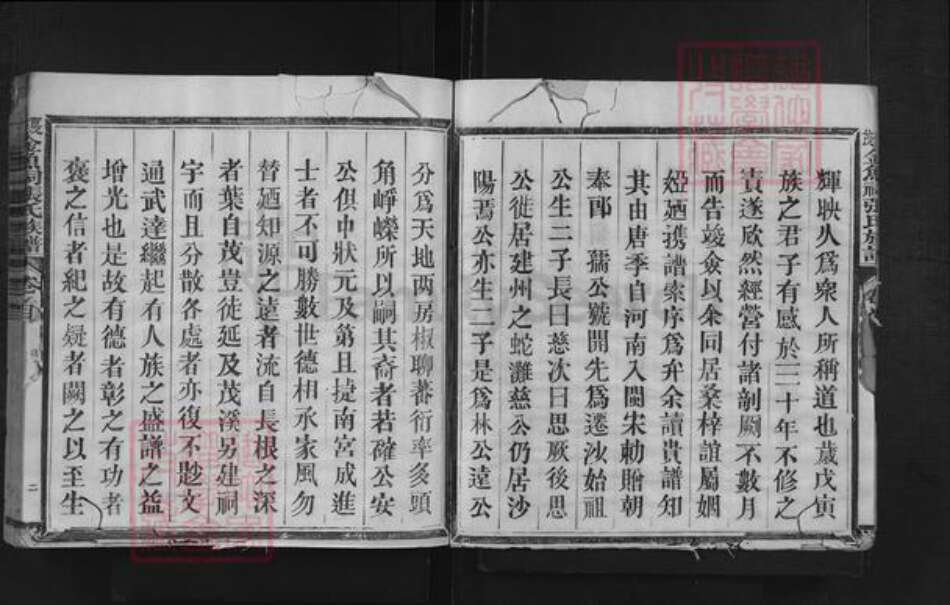 福建省三明市沙县夏茂镇张氏族谱-夏茂金鱼祠张氏族谱.pdf电子版预览图4