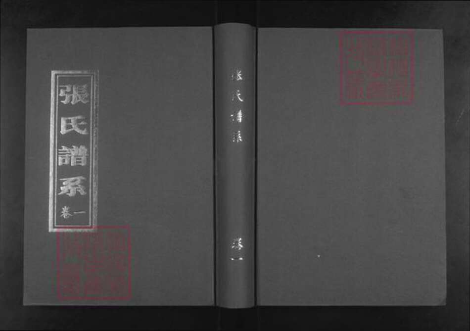 山东省淄博市桓台县新城镇张氏族谱-张氏谱系.pdf电子版缩略图