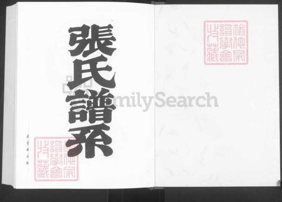 山东省淄博市桓台县新城镇张氏族谱-张氏谱系.pdf电子版预览图1