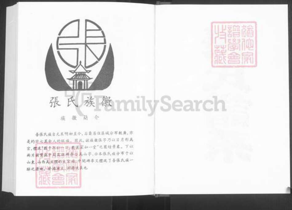 山东省淄博市桓台县新城镇张氏族谱-张氏谱系.pdf电子版预览图2