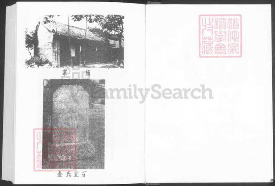 山东省淄博市桓台县新城镇张氏族谱-张氏谱系.pdf电子版预览图3