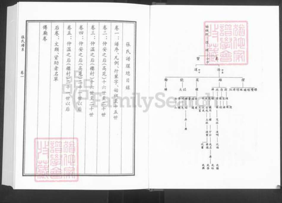 山东省淄博市桓台县新城镇张氏族谱-张氏谱系.pdf电子版预览图5