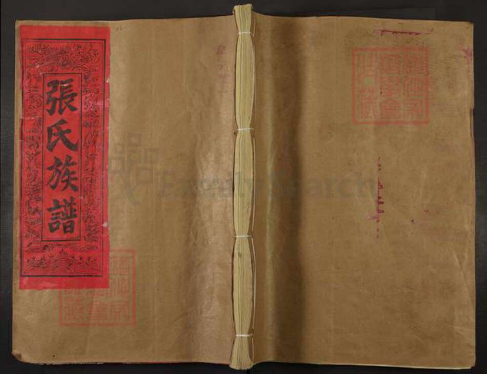 福建省三明市建宁县里心镇张氏族谱-张氏宗谱.pdf电子版缩略图