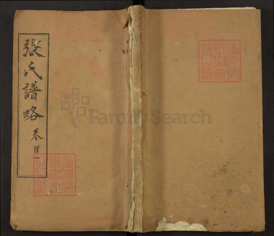 湖北省武汉市新洲区张氏两铭堂族谱-张氏谱略.pdf电子版缩略图