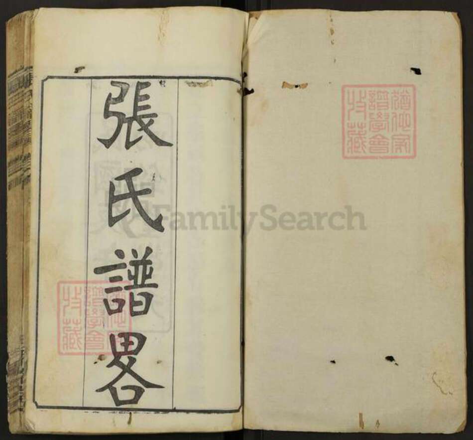 湖北省武汉市新洲区张氏两铭堂族谱-张氏谱略.pdf电子版预览图1