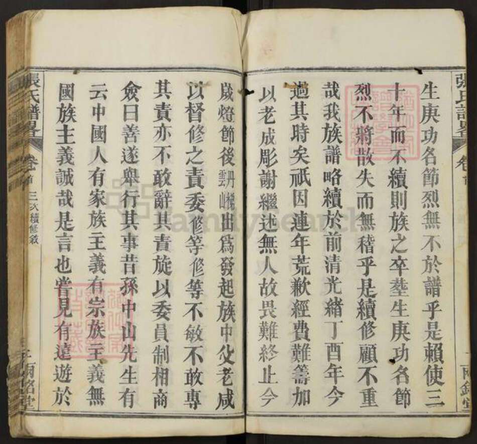 湖北省武汉市新洲区张氏两铭堂族谱-张氏谱略.pdf电子版预览图3