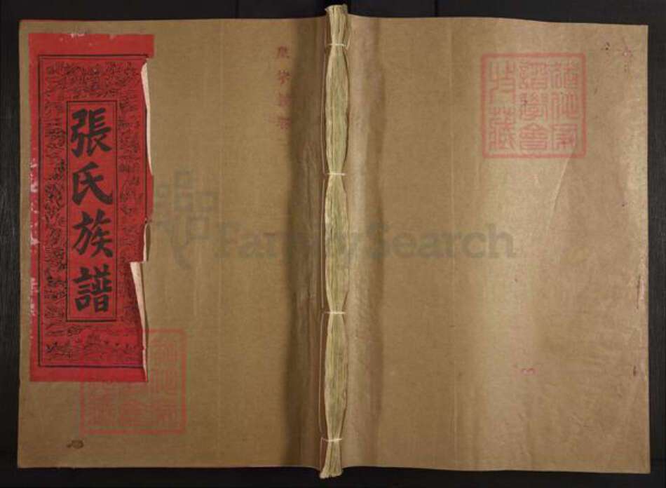 福建省三明市建宁县里心镇张氏族谱-张氏族谱.pdf电子版缩略图