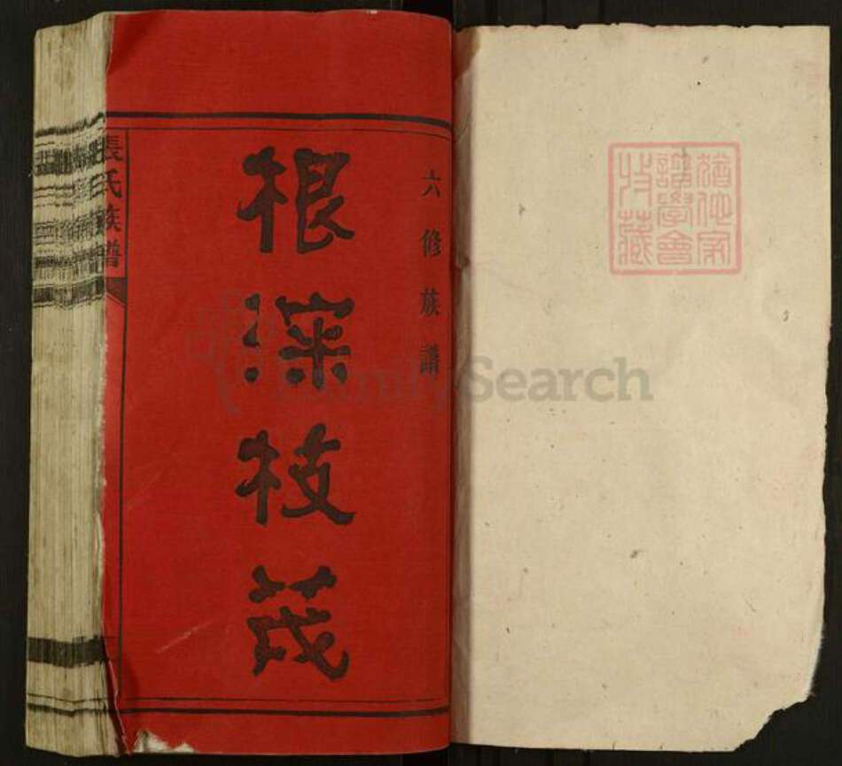 湖南省郴州市苏仙区张氏族谱-张氏族谱.pdf电子版预览图1