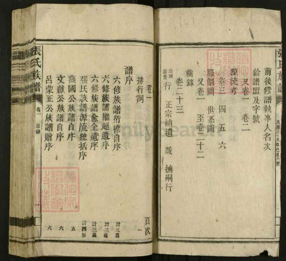 湖南省郴州市苏仙区张氏族谱-张氏族谱.pdf电子版预览图4