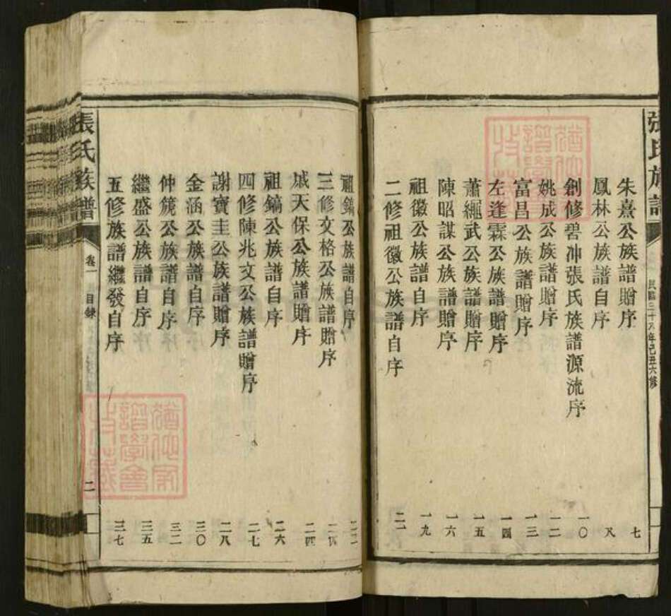 湖南省郴州市苏仙区张氏族谱-张氏族谱.pdf电子版预览图5